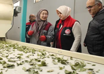 Devletten aldığı destek işletme kapasitesi 3 katına çıktı