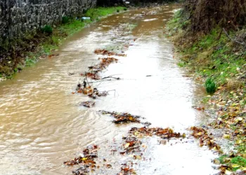 Muğla’da yoğun yağış su baskınlarına sebep oldu