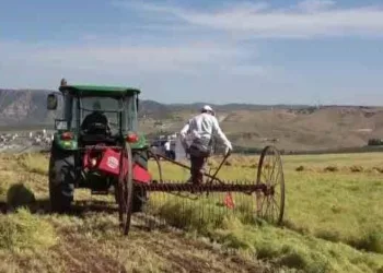 Siirt’te 10 milyon lira yatırım yapıldı.