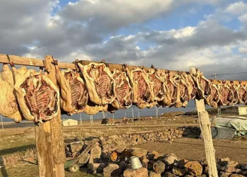 Kars’ta kazlar tellerde kurutuluyor
