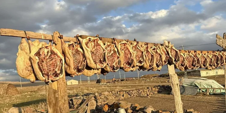 Kars’ta kazlar tellerde kurutuluyor
