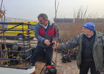 Üreticilere Yüzde 50 Hibeli Fidan Desteği