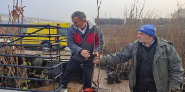Üreticilere Yüzde 50 Hibeli Fidan Desteği