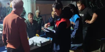 Hamsi avına kota denetimi