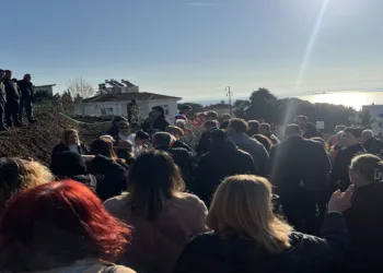 Sinop’ta, Ali Alp anısına 33 zeytin fidanı dikildi