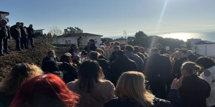 Sinop’ta, Ali Alp anısına 33 zeytin fidanı dikildi