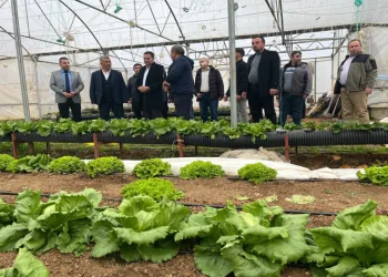 Beyşehir’de yaz seraları üreticilerle buluşturuldu