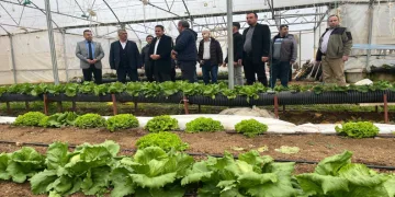 Beyşehir’de yaz seraları üreticilerle buluşturuldu