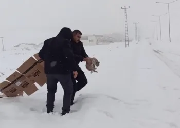 Erzurum polisinden yürekleri ısıtan hareketler