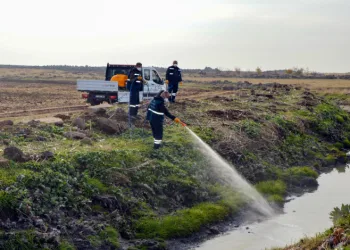 Haşerelere karşı kışlak çalışması başlatıldı.