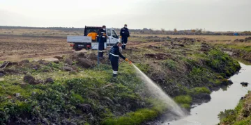 Haşerelere karşı kışlak çalışması başlatıldı.