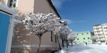 van,