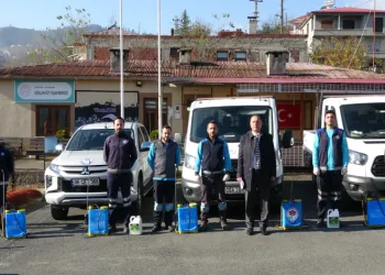 Kahverengi kokarcaya karşı biyosidal ilaçlama