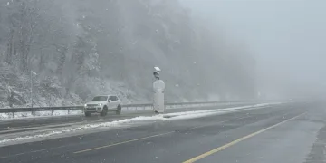 Bolu Dağı’nda kar yağışı sürüyor