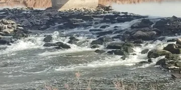 Nehirde tedirgin eden ölümler