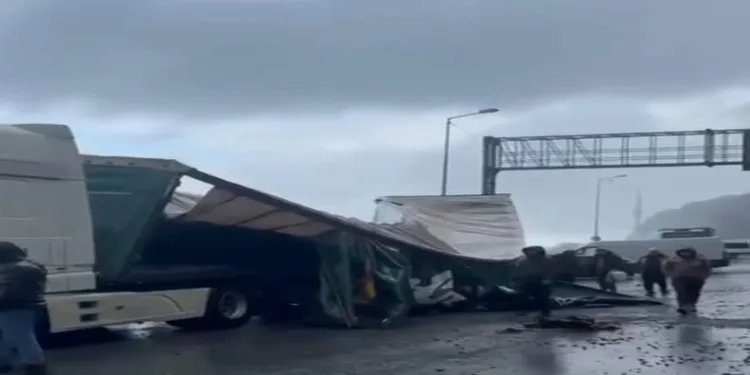Artvin’de dalgalar tır dorsesini parçaladı