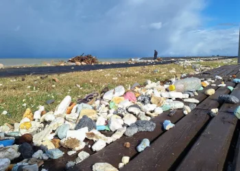 Karadeniz Dalgaları Yolu Zarar Verdi