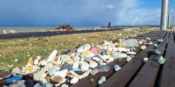 Karadeniz Dalgaları Yolu Zarar Verdi