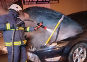 Van’da park halindeki otomobilde yangın