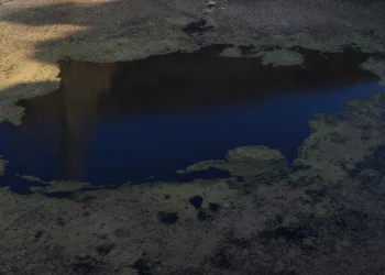 Doğa harikası göl yosunla kaplandı
