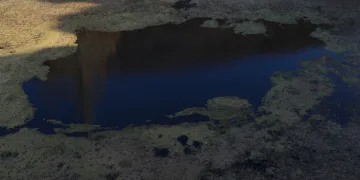 Doğa harikası göl yosunla kaplandı
