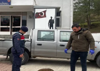 Jandarma, yaralı karacaya sahip çıktı