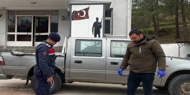Jandarma, yaralı karacaya sahip çıktı