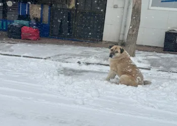 Adana’nın Tufanbeyli ilçesinde kar etkili oldu