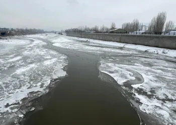 Ağrı’da Murat Nehri dondu