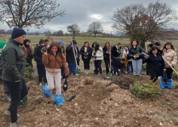 Emet’te fidan dikim etkinliği