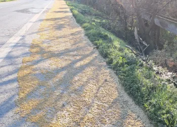 Tonlarca fasulye yollara saçıldı