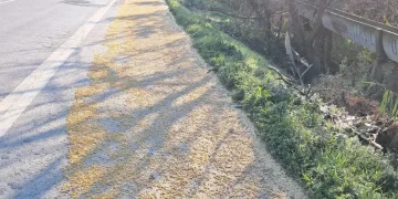 Tonlarca fasulye yollara saçıldı