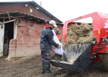 Çoban, küçükbaş hayvan bakımının zorluklarını anlattı