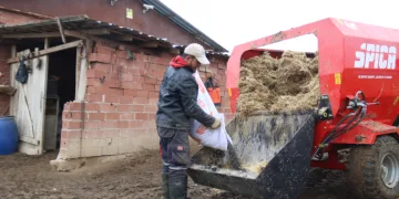 Çoban, küçükbaş hayvan bakımının zorluklarını anlattı