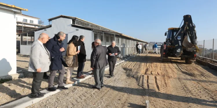 Ege Bölgesi’nin en büyük hayvan yaşam merkezi martta açılıyor