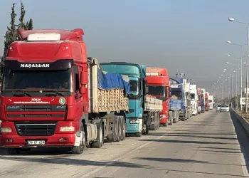 Fındık yetiştiriciliği kursu açıldı