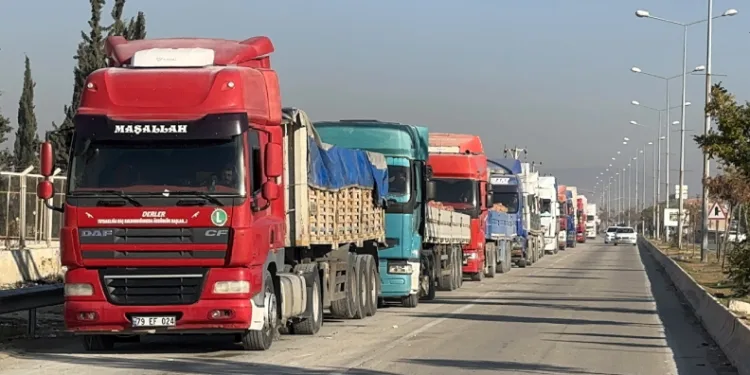 Fındık yetiştiriciliği kursu açıldı