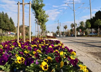 Antalya yaz kış rengarenk