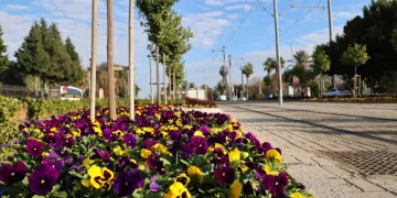Antalya yaz kış rengarenk