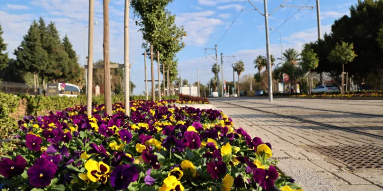 Antalya yaz kış rengarenk