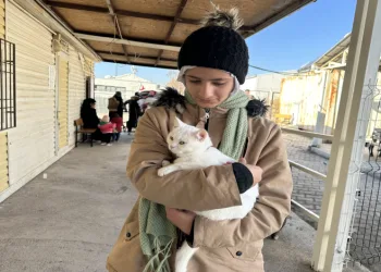Suriyeli mülteciler vatanlarına dönmeye devam ediyor