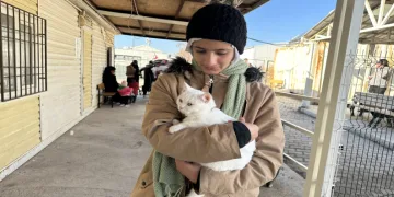 Suriyeli mülteciler vatanlarına dönmeye devam ediyor