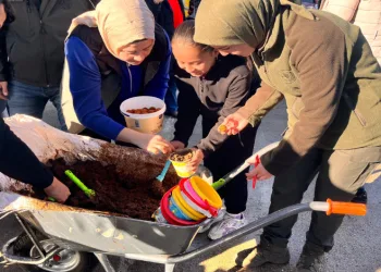 Anamur’da ceviz tohumları toprakla buluşturuldu