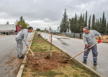 Kepez tarihi mirasıyla yeşilleniyor
