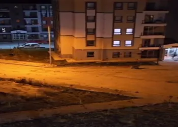 Ayı vatandaşı böyle kovaladı