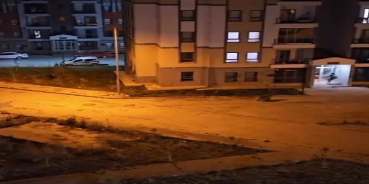 Ayı vatandaşı böyle kovaladı