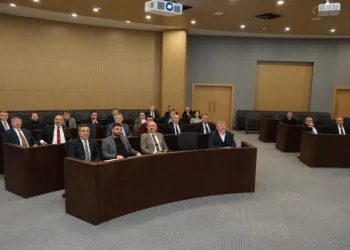 Çorum’da hayvanlar için doğal yaşam alanları ihale aşamasında