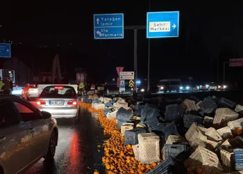 Muğla’da tırdaki tonlarca narenciye yola savruldu