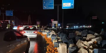 Muğla’da tırdaki tonlarca narenciye yola savruldu