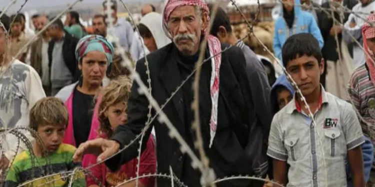Kaçakları ülkeye sokan 4 organizatör yakalandı